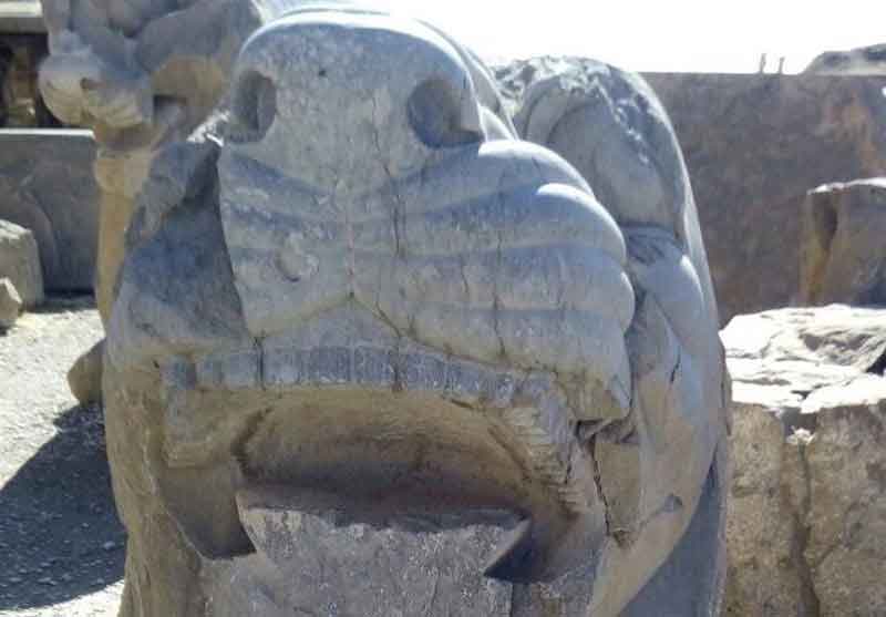 رنگ سرستون شیر و گاو در پارسه